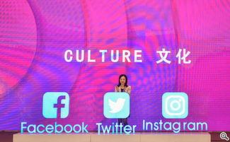 融合与碰撞 网络文化传播的深度变革之旅